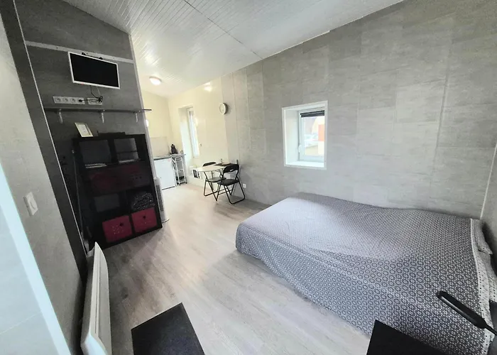 Studio Des Lacs - 2 Pers - Centre-Ville
